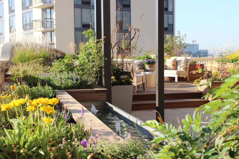 North Pond Rooftop New2015 Photo 4